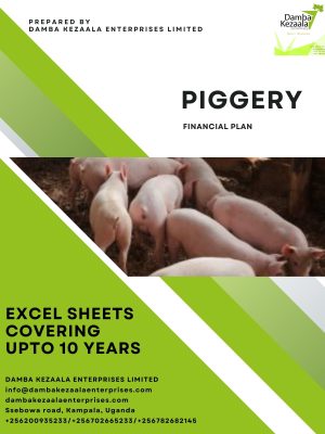 Piggery Financial Plan